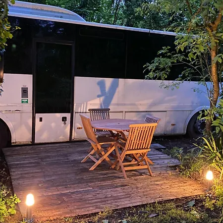 Woody Wood Bus *