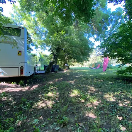 Woody Wood Bus Luxuszelt