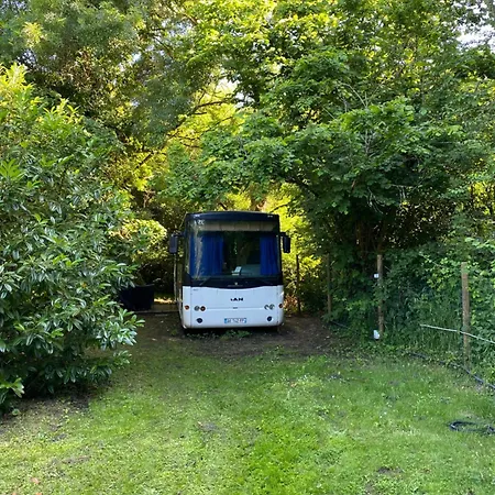 Woody Wood Bus Vergeroux